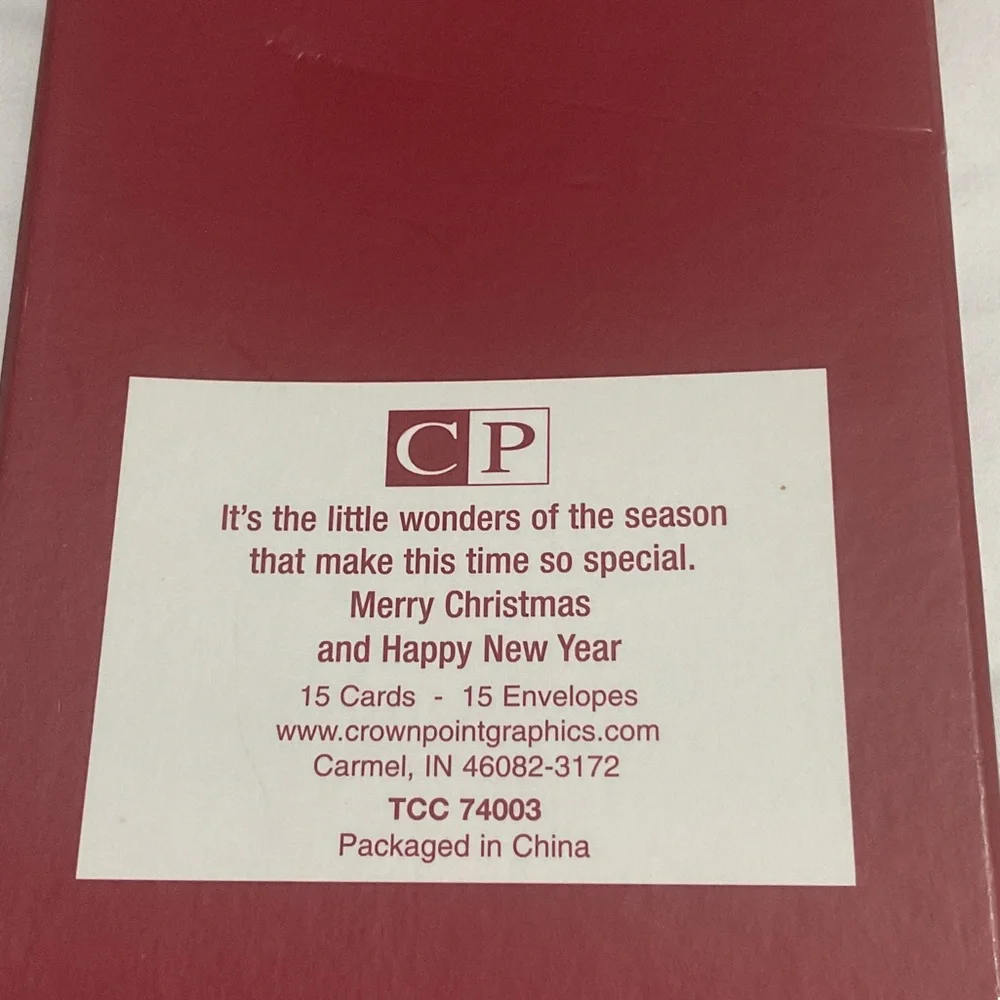 Angel Christmas Card Set ( 11 cards and envelopes)